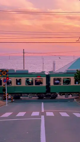 Chuyến tàu ven biển Nhật Bản lúc hoàng hôn 🚉 ✨️ #tokyo #japan  #view #fypシ #xhtiktok #xuhuong 