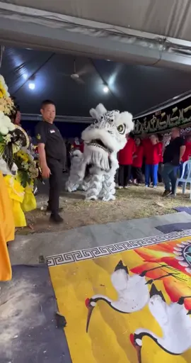 🇲🇾 2024 马来西亚馬六甲翁武玄龍體育會 Xuan Long Dragon & LionDance Machap Umboo Melaka 孝狮 filial lion 22/2 甲市区五代大母陈门洪氏亚掽今午举殡，近70名子 送殡，而一头“孝狮”则在灵前送别后一路护送老人家到安葬地后，火化追随老人家而去。 洪亚掽的子孙们遵循老人家心愿，举办七天的笑丧礼，并在治丧期间全穿红衣，而由于老人家喜欢舞狮，因而特别安排一头孝狮送别。🙏 The funeral of Chenmen Hong's Yapeng, the fifth-generation mother-in-law of the fifth generation in urban area, was held this afternoon. Nearly 70 people attended the funeral, and a 