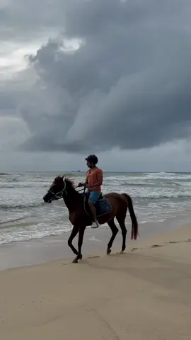 🏇 #zulqarnainsikandar 