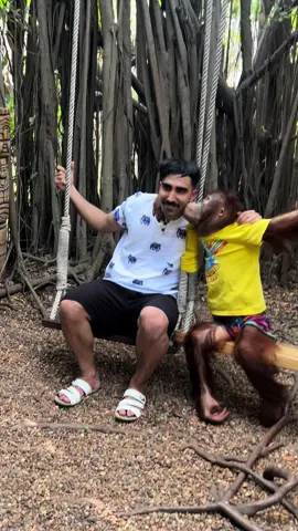 let me introduce my new friend 😂❤️ اعرغكم على صديقي الجديد #ضحك #اكسبلور #safariworldbangkok #bangkok #monkey #orangutans #funny #fyp 