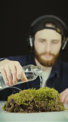 The sounds of the moss 🌱 What do you want to listen to next time? It can be an object or anything else.. #science #scienceexperiments #tiktok #pourtoi #fyp 