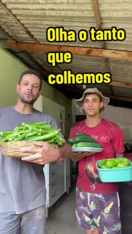 Graças a Deus fartura 🙏🏻🧑‍🌾😍#minasgerais #pepino #jilo #roça #interio #rotina #diaadiatiktok  @os meninos ofc 👨‍🌾  @os meninos ofc 👨‍🌾  @os meninos ofc 👨‍🌾 
