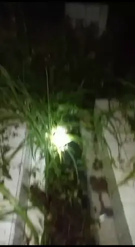 buat prank ni#kuburan#malamjumaat#storywa#fyppppppppppppppppppppppp