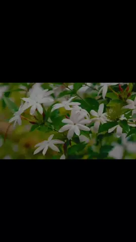 #صلوا_على_من_جائنا😍 