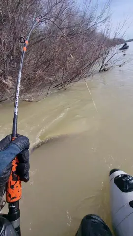 🙂🔥  @Adventerfishing  #fishing #pesca #wedkarstwo #siluro #catfish #sum #rivergishing #spinfishing #predatorfish #monsterfish #sports #deporte 