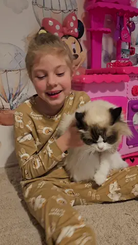 Ragdoll truly becomes a “rag doll” in the hands of someone he trusts 💙 #ragdoll #ragdollcattery #ragdollbreeder #ragdollbremen #bremen #ragdollkittens #cutekittens #kittentiktok #kitty #cat #cutecat #ragdolldeutschland  #ragdollworld #catlover #catblueeyes  #рэгдолл #рэгдоллпитомник