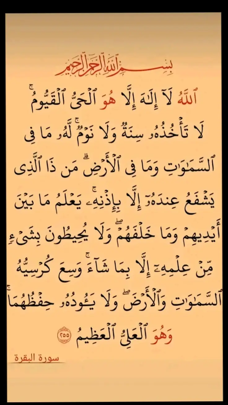 القرآن الكريم سورة الكرسي#ارح_سمعك_بالقران♥️😍🧏‍♂️ #quran_karim🥰 #fypシ゚viral💕 