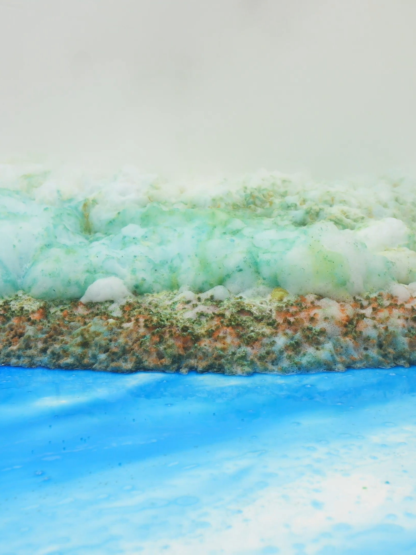 Foam EXPLOSION !!! #satisfying #asmr #rugwashing #carpetcleaning #restoration #relaxing #fyp