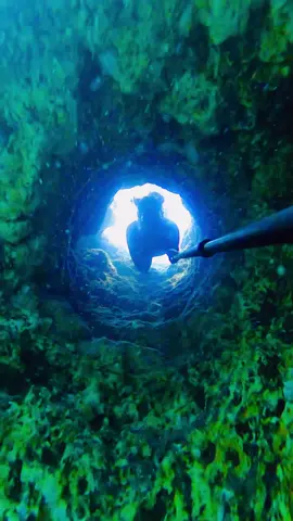 Solution cave inside of a sub-marine sinkhole 🤓 #geology #karstgeology #sinkhole #underwater #freediver #freediving #asmr #asmrsounds #satisfyingsounds