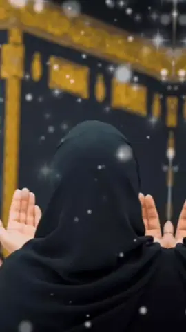 Sara Aalam ko plane wale🌍💞#foryou #foryoupage #fypシ 