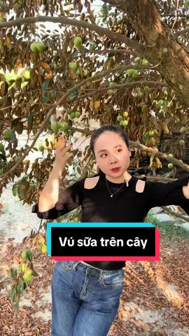 Trả lời @Thanh Ngânnn kkk tui cũng muốn làm dài mà thời lượng cho phép dị thôi nè, nay tui dắt mấy bà về quê ăn Dzú sữa nha #diemlinhmukbang #diemlinh #vusua 