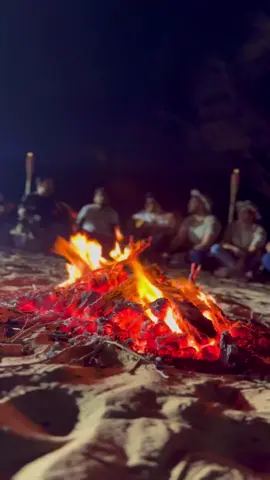 عينيا بتحبك🫂♥️#عينيا_بتحبك #تامر_حسني #يعني_ايه_لما_كلامي_كله_يبقى_فسيرتك #اكسبلوررررر #تيك_توك #ترند 