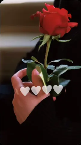 #جنني_هذا_الغياب_ودمعي_تفسيره #تصاميم_فيديوهات #ڪـٰٚـِْربلائيۿ_🇮🇶 #اكسبلووور_____explore 