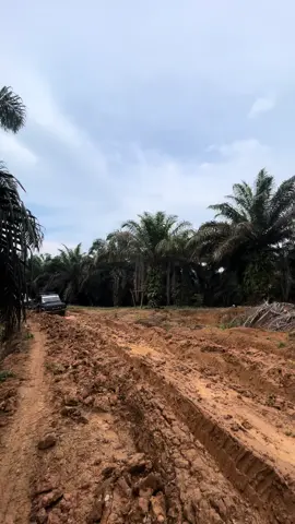 yang penting konten😅 #sawitjambi #sawitsumatra #sawitriau #pelangsir_buah_sawit #hiline4x4 #sawitontiktok #jambipride🔥 #becekbecekbasah 
