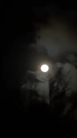 พระจันทร์คืนนี้สวยจัง 🌖 #moon #moonlight #sky #ท้องฟ้า #dark #tt #trend #trending #เทรนด์วันนี้ #เทรนด์สีโลก #tiktok #เพลงเพราะ #เพลงเศร้า #สตอรี่ความรู้สึก #ภาพถ่ายเอง📸 #fyppppppppppppppppppppppp 