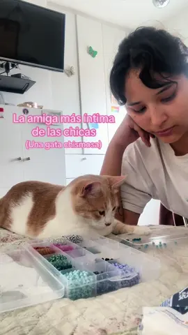 Siempre pega su carota a mi espacio de trabajo 🥺🩷 #cat #gata #chicas #girl #girlgaze #gatos #chica 
