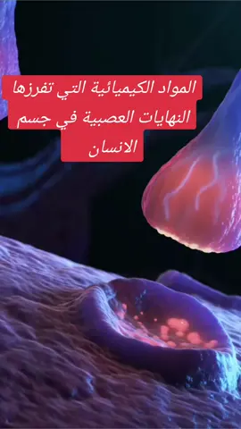 #معلومات_طبية #معلومات #علم_ومعرفة #طب #جسم_الانسان 