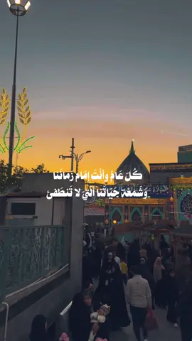 #الامام_المهدي #باسم_الكربلائي #مولد #اكسبلور #fypシ #fypシ #quran #سيد_فاقد_الموسوي 