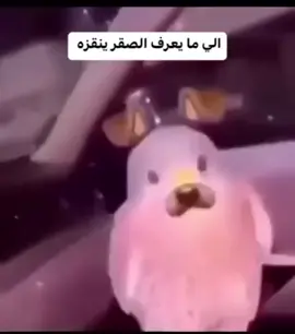🤣متتت#