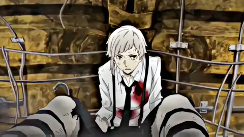 Rashoumon Higanzakura #hinataquincy #bungoustraydogs #atsushinakajima #akutagawa #anime 