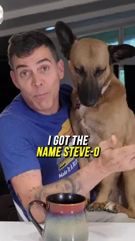 The Origin Of My Name - Steve-O #steveo #jackass #stuntlife 