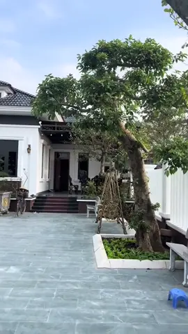 Team mê nhà vườn nhà được cái có sân to thoả đam mê yêu thích cây cảnh #caycanhviet #caycanhdep #sanvuondep