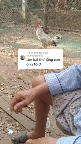 Trả lời @tigerbaocamau những ae mà mình chưa tl được ae thông cảm nha 🥰