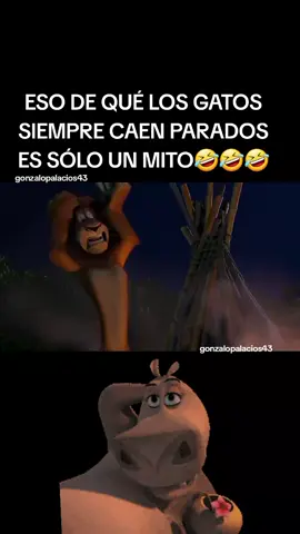 #madagascar #caricaturas #melman #gatos #mito #tiktok #viral 