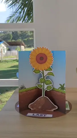super Ganda 😍😍😍 my instructional materials for week 25 kindergarten MELC based lesson ❤️ available soft copy ..  #kinder #teachers #deped #instructionalmaterials #kindergartenteacher #kindergartentips #kindergarten #momathome #Science #scienceathome #lifecycle #frog #butterfly #sunflower 