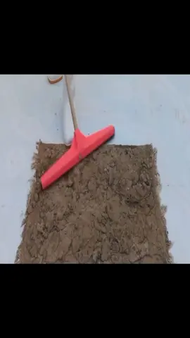 Cleaning The Nastiest Rug ! In Only 1 Minutes #satisfying#asmr#carpetcleaning #rugwashing#foryou#foryoupage#fyp#fypシ#tiktok#viral#cleaning#clean #CleanTok#vipvideo#fypage#4youpageシ#decompress#decompression #rugcleaning#cleaningasmr#cleaningasmrvideo#cleanwithmemotivation  #satisfyingcleaning#rugtok#washing#restorations