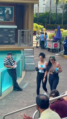 Tom likes to tease beautiful girls #lol #tomthemime #totanthemime #tomtheseaworldmime #mime #seaworldmime #funartist #thebestoftom #bestreactionprank #funvibes #totanthemime #foryou #fyp #foryoupage #funny #tomthemime #seaworld #seaworldmime #mime #tomtheseaworldmime #funny #funnyvideos #fyp #foryou #foryoupage #totanthemime 