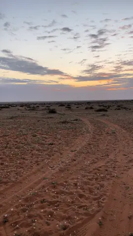 🎵’ #تصويري #اكسبلور #حايل 