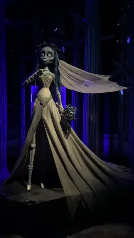 Tim Burton’s Labyrinth was 🍄🎩✨👰‍♀️ #timburtonslabyrinth #TimBurton #brussels #museum #exhibition #corpsebride 