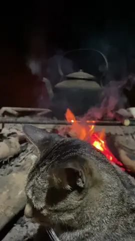 Vẫn là bếp lửa đó mà con mèo bị nộn rau má mất rồi 😓#xuhuong #fypシ #odaycobepluahong #nguoidentutrieuchau #remix #beplua #fypシ゚viral #foryou #trending #hottrend #19phutho #xuhuong #xuhuongtiktok #beplua #fypシ゚viral #xuhuongtiktok2023 