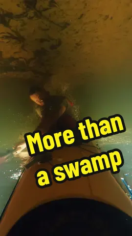 The Turner River runs right through the heart of Big Cypress, and it's so much more than a 