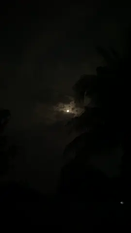 একটা সময় পর মানুষের সকল অভিযোগ হয় তার নিজের উপর...!❤️‍🩹#fyp #foryou #foryoupage #moon #song #trending #night#view#caption #cxfharafat #fuadhasanarafat #tiktok #bangladesh 