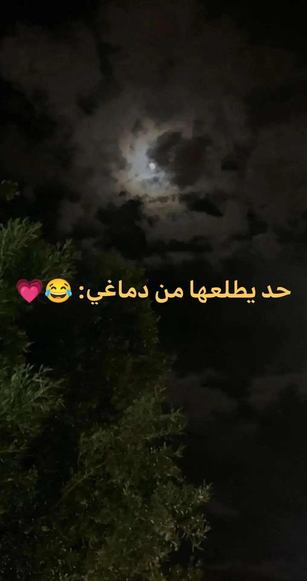 ون منت بليز العيال بيقولوا عليا عالسوشيال ميديا 💗😂 #اغاني_شعبية  #كابونجا🦇 #كتكوت #مهرجانات 