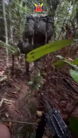 Nuestros comandos continúan en desarrollo de operaciones militares, velando por la seguridad de los colombianos.  ¡No les fallaremos!  #SiempreFirmes #ProtegemosLaVida #Ejercito #Armada #FuerzaAerea #Viral #Tiktok #soldados 