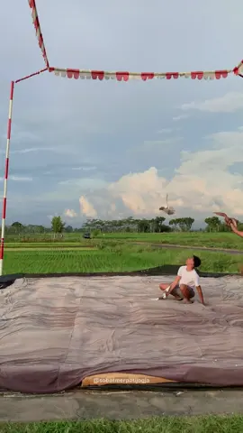 Losss panjang 🥰🤙 #merpati #merpatikolong #merpatikolongbebas #merpatilosdor #merpatilovers #fypシ 