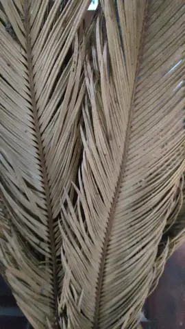 Breakfast Buffet😍 #hotelmurahdibromo #yoschishotel #hotelbromo #sarapan #breakfastideas #breakfast 