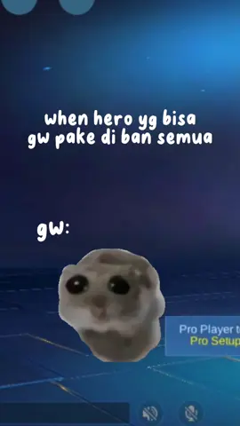 bingung mw pake apa🗿🗿 #mlbb #bzrfamily #quotesmlbb 