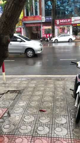 #xuhuongtiktok 