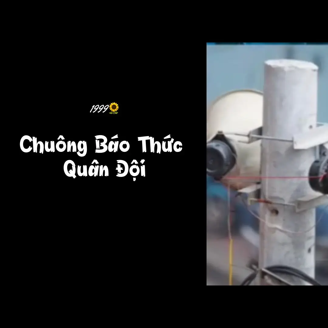 #1999🌻 #lthmusic1610 #chuongbaothuc #baothucquandoi #xuhuong #nhacbaothuc 
