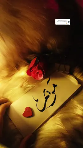 الرد على @mariam.love90 #تخطيط_اسماء #الخطاط_الان_ملا_عمر 