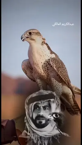 عبدالكريم المالكي.  يا صقر  ... الي يعرفكةيشريك بلدولار#كويت_ليبيا_السعودية_سوريا_مصر_العراق_ا #ليبيا_طرابلس_مصر_تونس_المغرب_الخليج #طبرق_ليبيا_وبنغازي_و_طرابلس_في_القلب🔥 #جغبوب_طبرق_الصحراء_ليبيا❤️🔥 #درنه_طبرق_مصر_ليبيا_بنغازي_طرابلس_جزائر 
