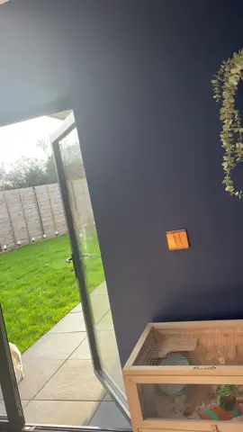 Walking Treadmill Desk - DIY - no problem 👌🏻🤣 (does the job)  #treadmill #walkingpad #standupdesk #workfromhome #workout #walk 