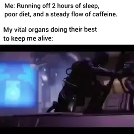 #meme #joke #yourlocalbreadman #video