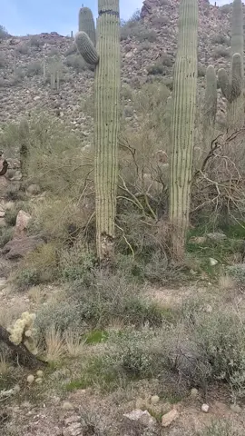 LAS MARAVILLAS DE LA NATURALESA  #parati #tiktok #montañas #fyp #viral 