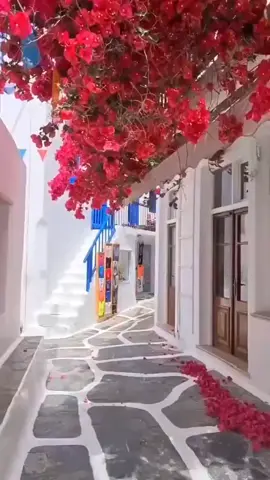 #ام كلثوم ويوم ما تسعدني باوربك#الاقي كل الناس احباب❤️🫶♥🥰#اكسبلورexplore 