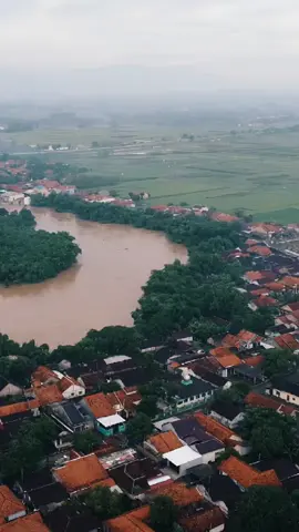 Kondisi Kali Pemali Saat ini di Desa Kedungbokor #banjir #brebes24jam #banjirbrebes 